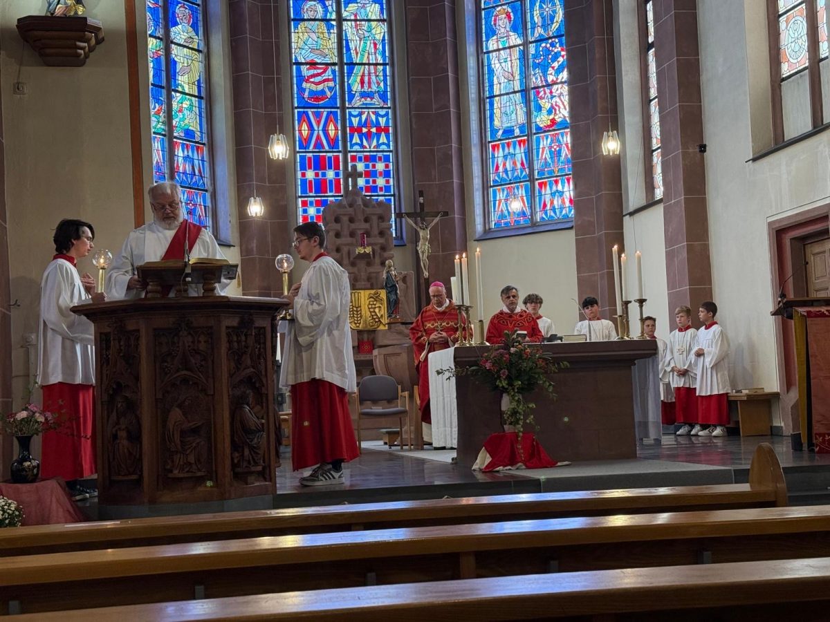 b6f707ef-5c91-4e3e-82d7-9ad746e47f29