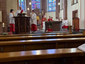 95c183c9-0e03-4dbe-8afa-0b13da8bf0dd