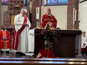 db339562-d337-4240-aec9-03f59e05216f